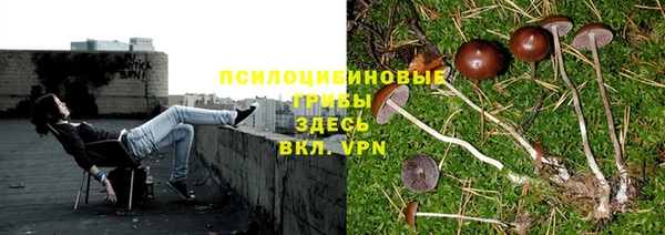 mix Осинники