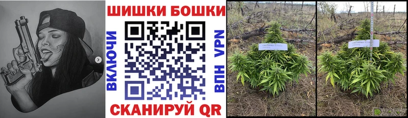Конопля сатива  где найти наркотики  Новоульяновск 